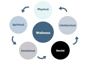 Wellness Wheel Wellness Clan