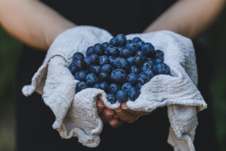 Antioxidants and Aging - What's the Connection?